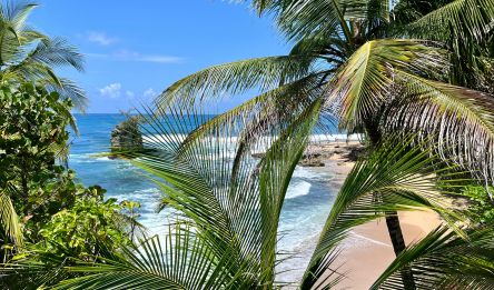 San Gerardo de Dota - Puerto Viejo de Talamanca