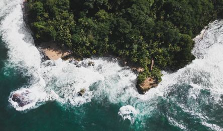 Jour 8 et 9 - Puerto Viejo