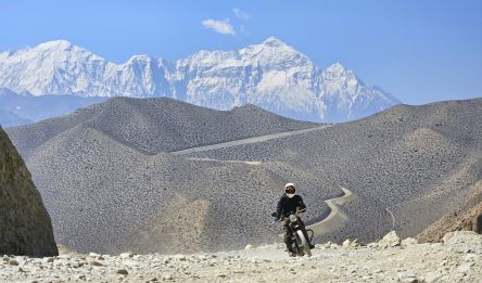 Ghami - Muktinath