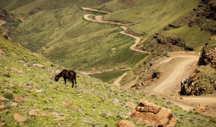 Golden Gate Highlands – Roma