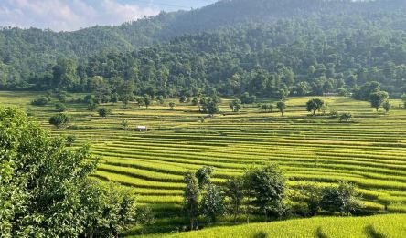 Chitwan - Tansen
