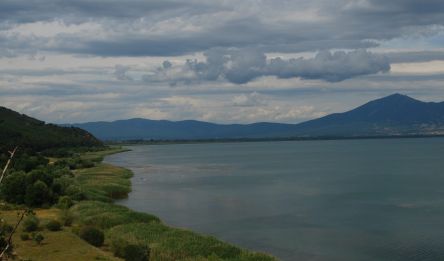 Pogradec – Ioannina