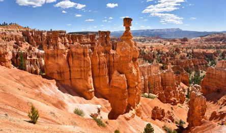 Giorno 6 : Monument Valley - Bryce Canyon (544 km)