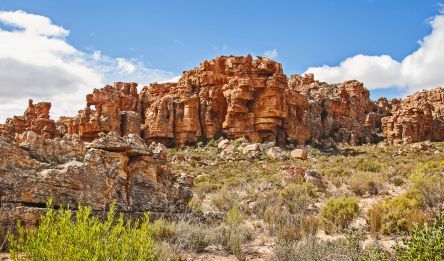 Karoo - Montagnes du Cederberg
