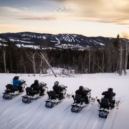 Forêt nordique - Les Escoumins de sentier