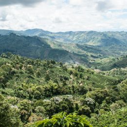 Salento - Ibagué