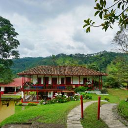 Jardín - Salamina
