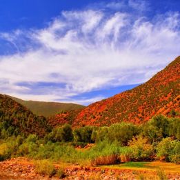 Foum Zguid - Ouarzazate