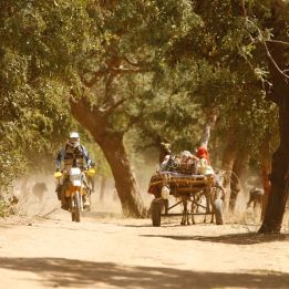 Agogo - Boabeng Fiema