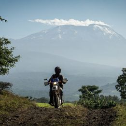 Jour 6 : Lac Manyara – Cratère du Ngorongoro - 140 km