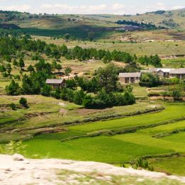 Ambositra - Ranomafana