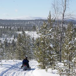 Départ d'Ivalo
