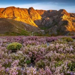 Arganil - Pedrógão Pequeno - Aéroport