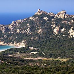 Bavella et Alta Rocca