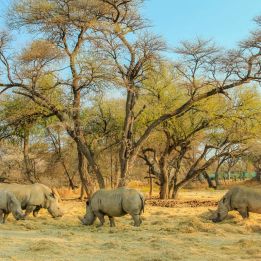 Windhoek - Omaruru (85% pistes, 15% goudron)