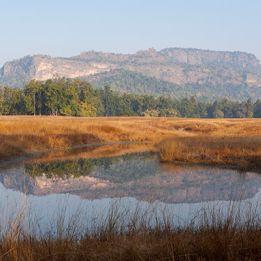 Jour 7 - Bandhavgarh