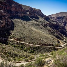 Jour 5 - Volmoed – Oudtshoorn - 220 km