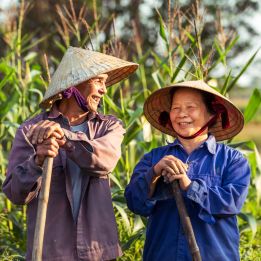 Phong Nha - Dong Hoi