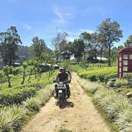 Nuwara Eliya - Ella – 1h30 driving