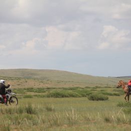 Journée chez la famille nomade