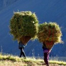 Jour 6 - Sangla - Nako - 150 km