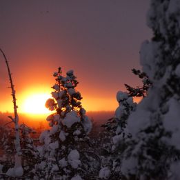 Arrivée à Ivalo