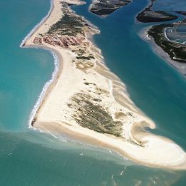 Guajirú - Jericoacoara