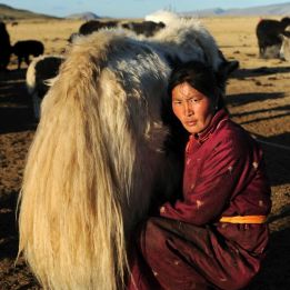 Khogno Khaan - Oulan-Bator