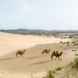 Mini-Gobi
