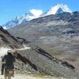 Jour 12 - Naggar & Manali - 110 km