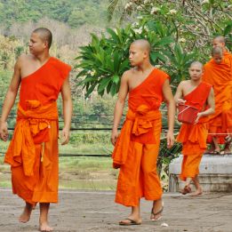 Jour 12 - Chiang Mai