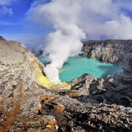 Licin - Jember
