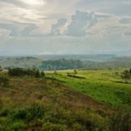 Jour 5 - Nong Khiaw - Luang Prabang - 150 km