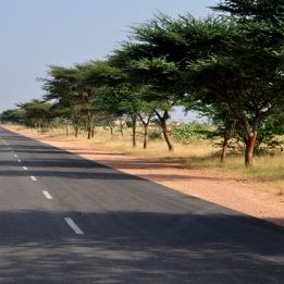 Jour 2 : - New Delhi - Mandawa - 175 km de route  - 5h de conduite