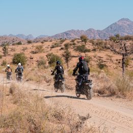 Jour 5 - Pushkar - Ghanerao - 220 km
