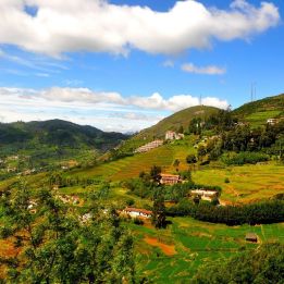 Jour 8 : - Palakkad - Ooty -  160 km de route – 4h de voyage