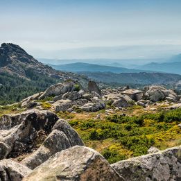 Tempio Pausania - Cala Gonone