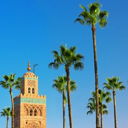 Taroudant - Marrakech