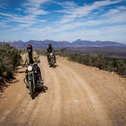 Jour 3 - Hermanus – Barrydale - 240 km