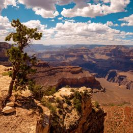 Jour 11 Grand Canyon - Laughlin
400 km