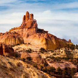 Jour 10 : Gallup - Grand Canyon
450 km