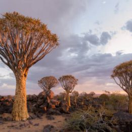 Gochas - Keetmanshoop