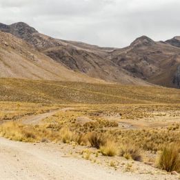 Day 12 - Chucuito (Lac Titicaca) - Arequipa (2300m)