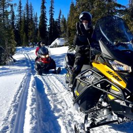 Kittelfjäll - Vilhelmina