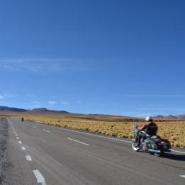 Catavina - San Ignacio