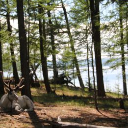 Lac Blanc de Terkh