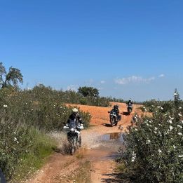 Comporta - Vila do Bispo