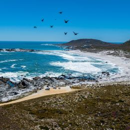 Namaqualand - Port Nolloth