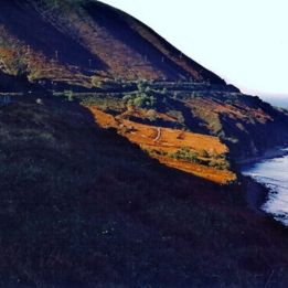 Kilkenny - Rosslare Harbour - 1h30 de conduite