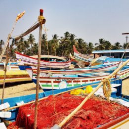 Jour 10 : - Cheruthuruty - Vypin Island - 120 km de route – 4h de voyage